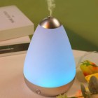 Ultrasonic Humidifier & Essential Oil Diffuser