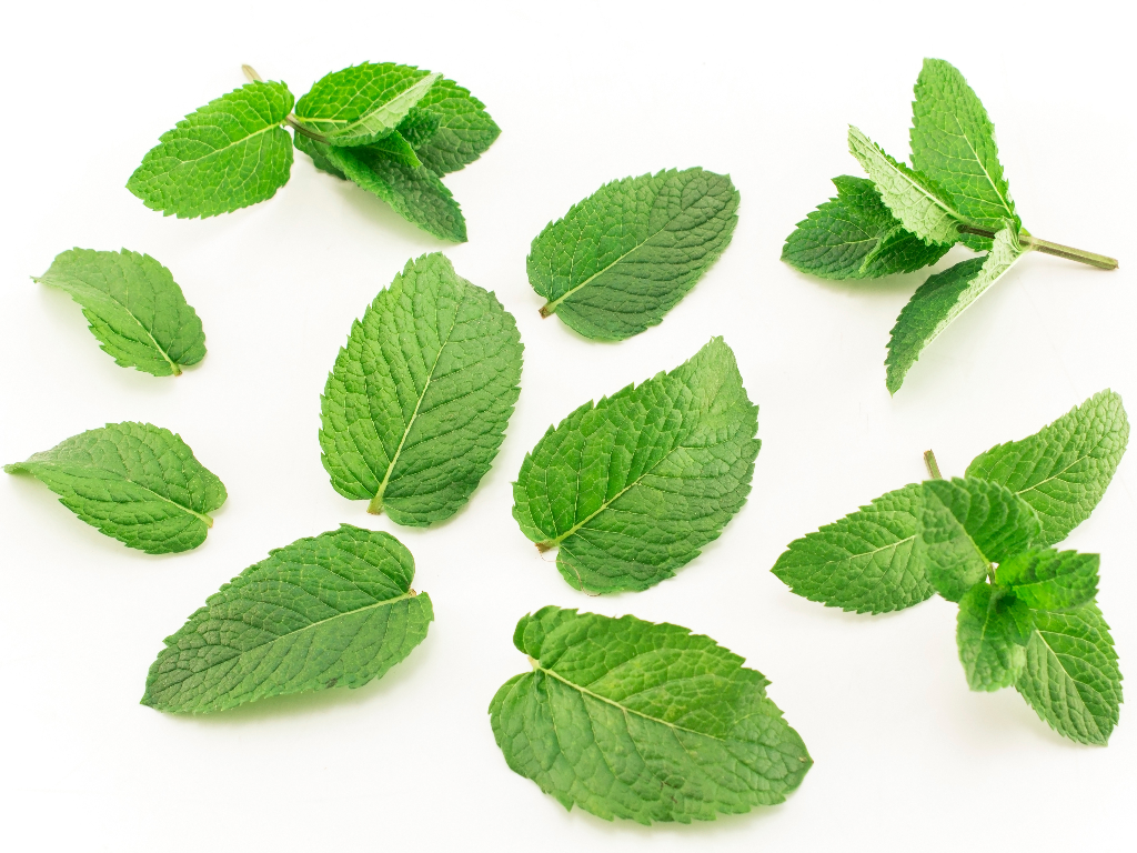 Peppermint