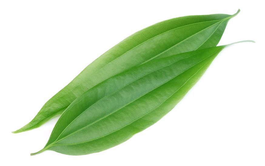 Cassia Leaves
