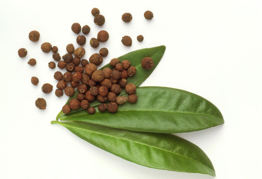 Allspice