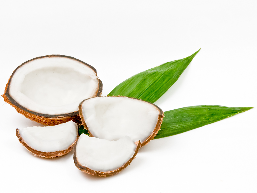 Coconut