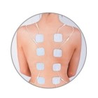 TENS, EMS, Sport, and Fitness Device