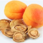 Apricot Kernel